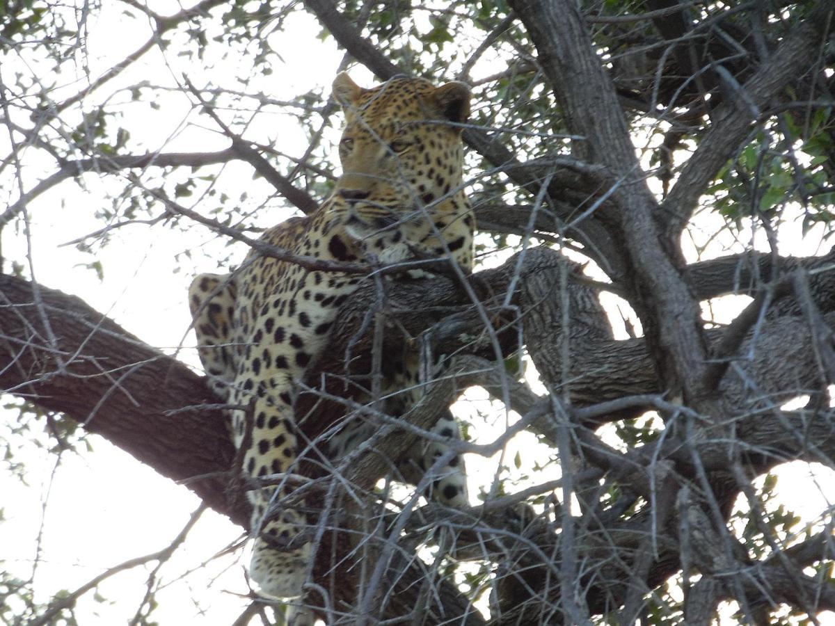 Aloegrove Safari Lodge Otjiwarongo Ngoại thất bức ảnh