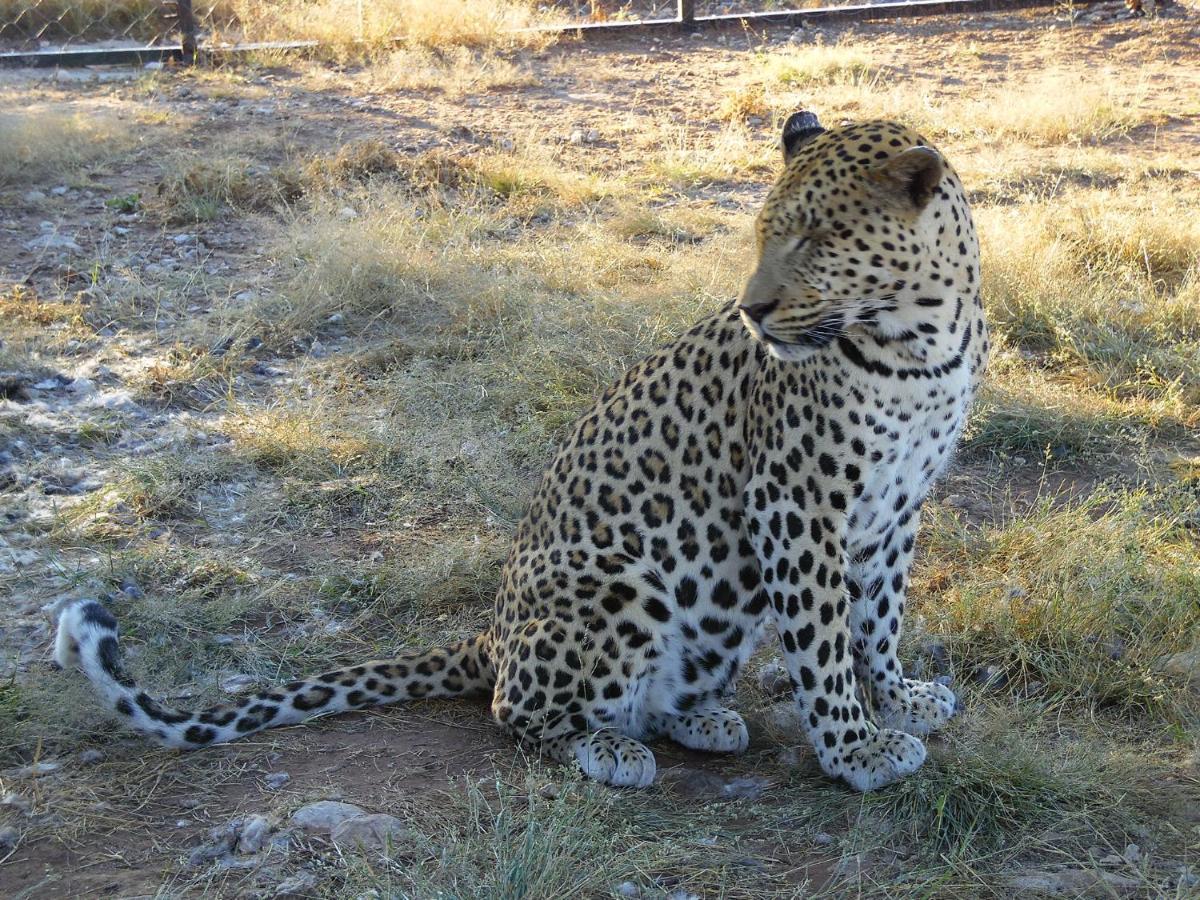 Aloegrove Safari Lodge Otjiwarongo Ngoại thất bức ảnh