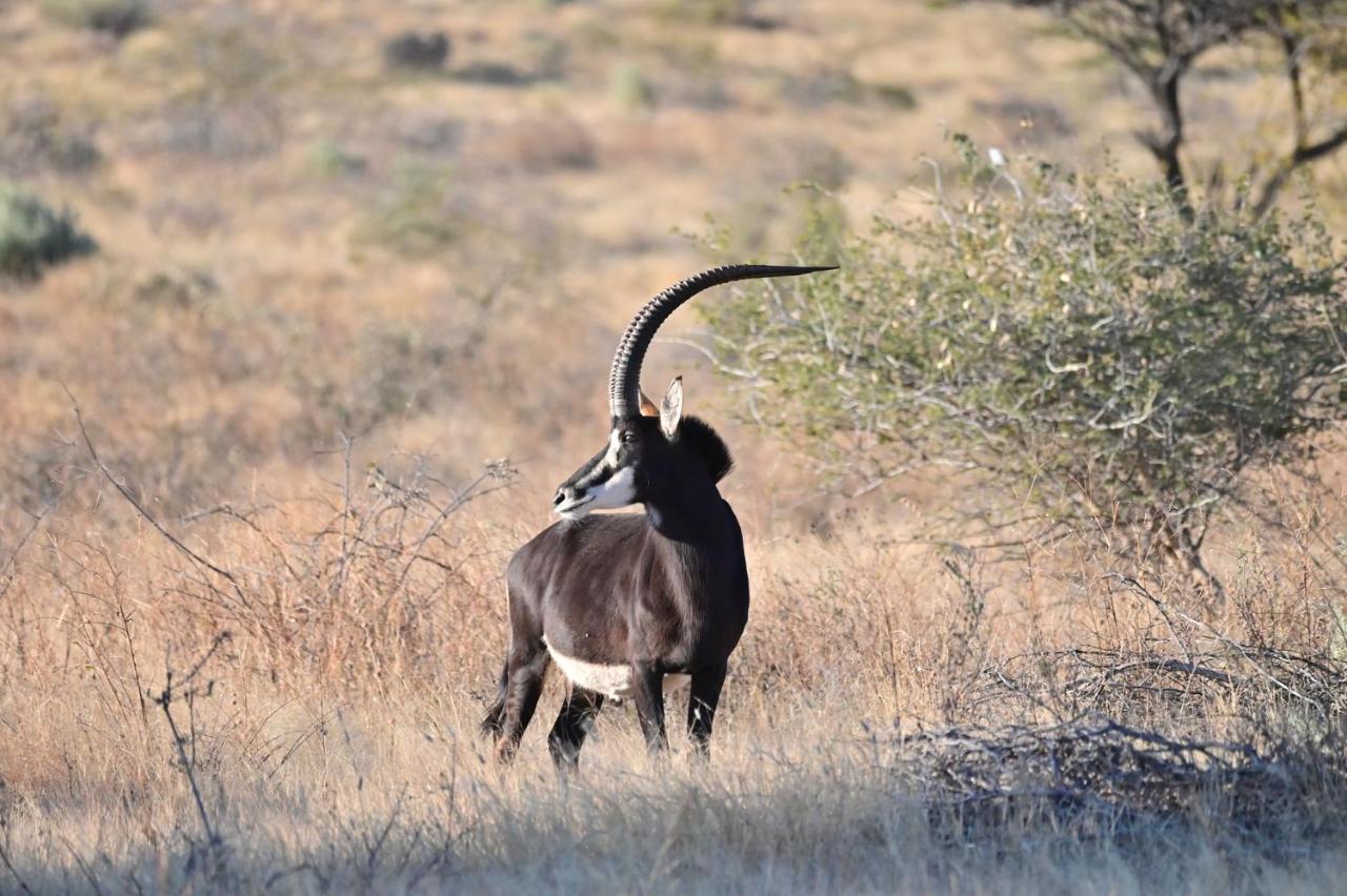 Aloegrove Safari Lodge Otjiwarongo Ngoại thất bức ảnh