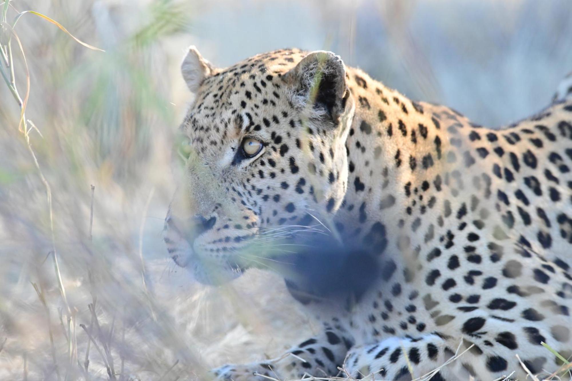 Aloegrove Safari Lodge Otjiwarongo Ngoại thất bức ảnh