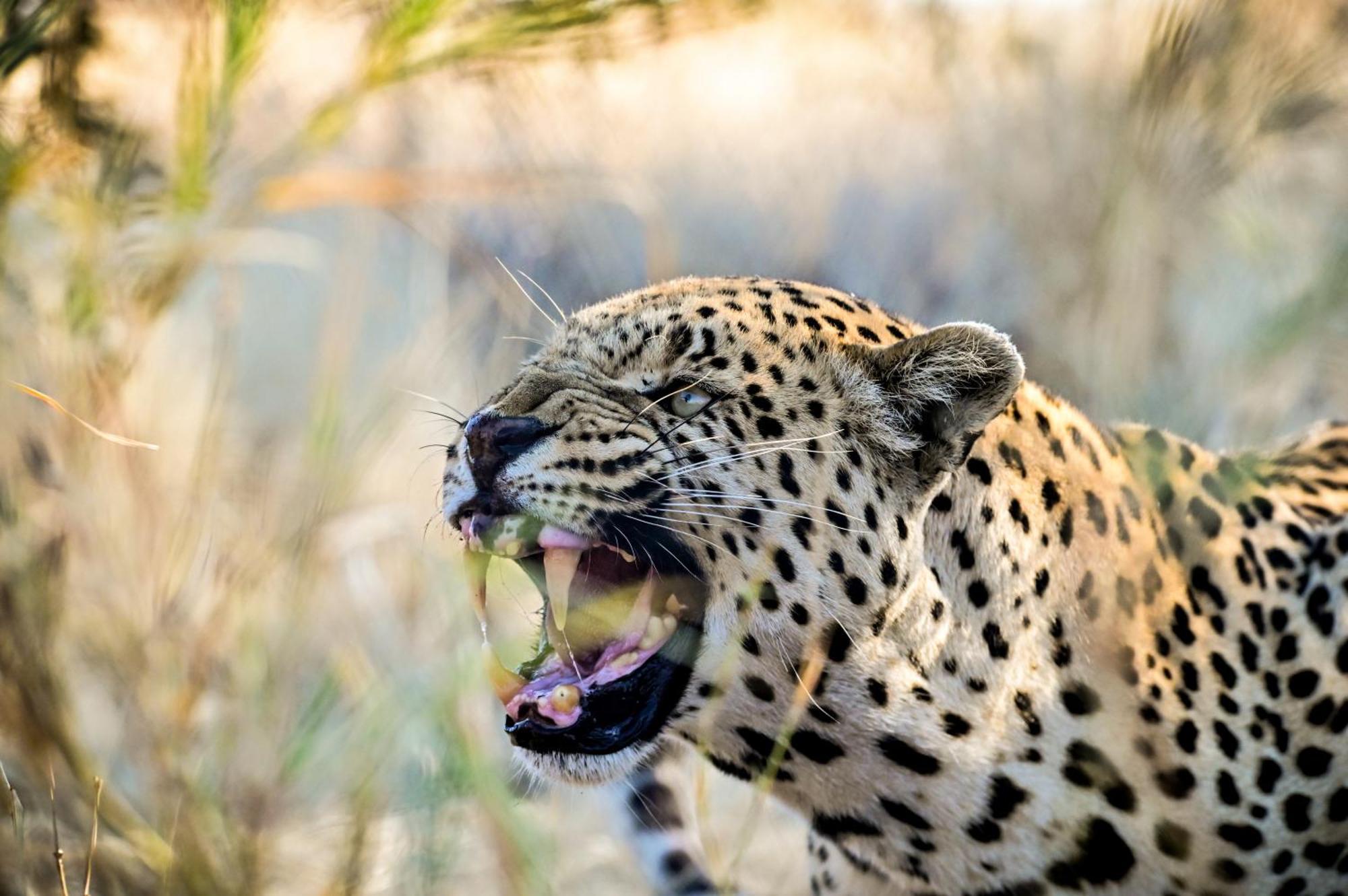 Aloegrove Safari Lodge Otjiwarongo Ngoại thất bức ảnh