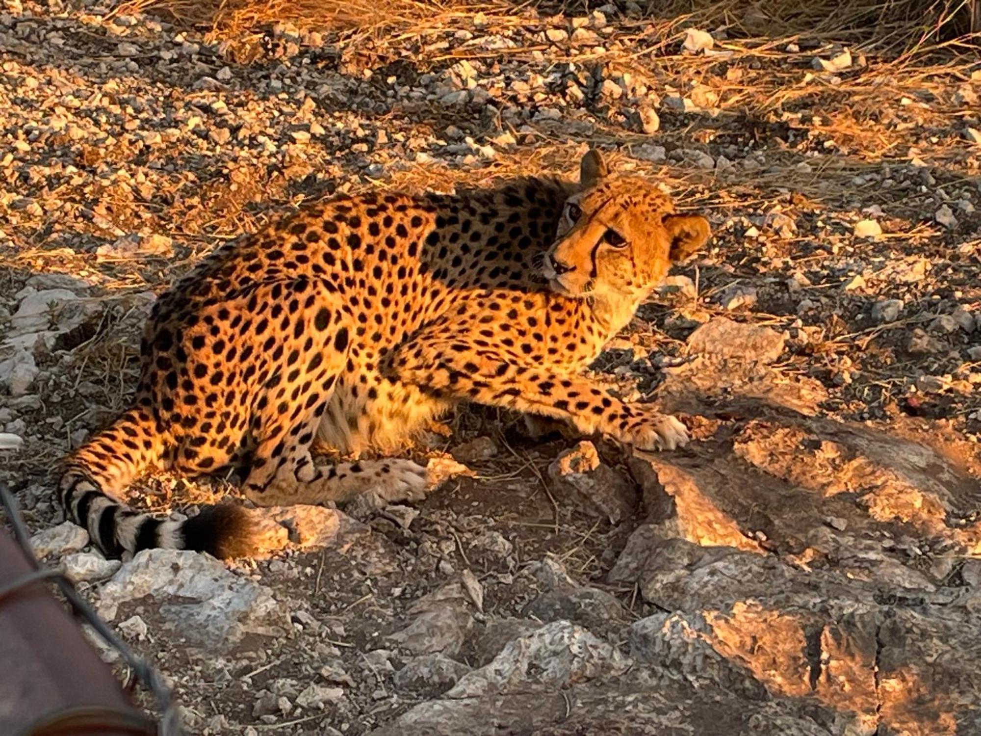 Aloegrove Safari Lodge Otjiwarongo Ngoại thất bức ảnh
